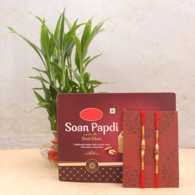 Rakhi with plant and sweet